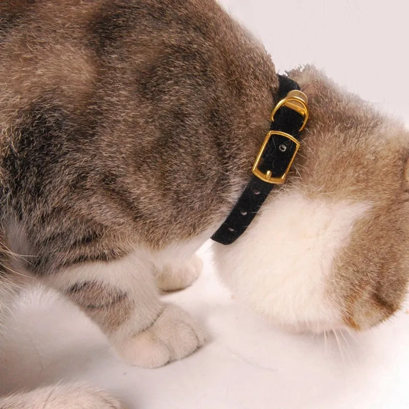 Classic Collar for Cats