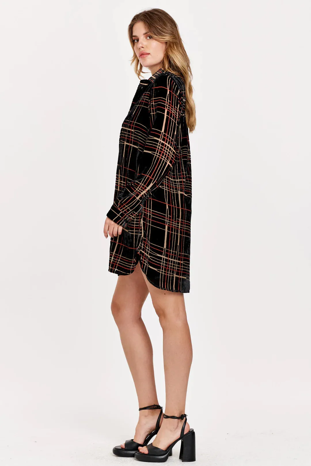 Dear John Emily Button Front Dress