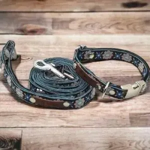 Finnigan's Handcrafted Designer Dog Collar Set