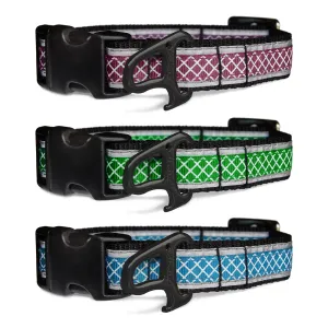 Kurgo Reflective Wander Collar