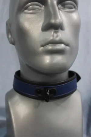 Locking Two Tone Collar - Top Stripe Construction