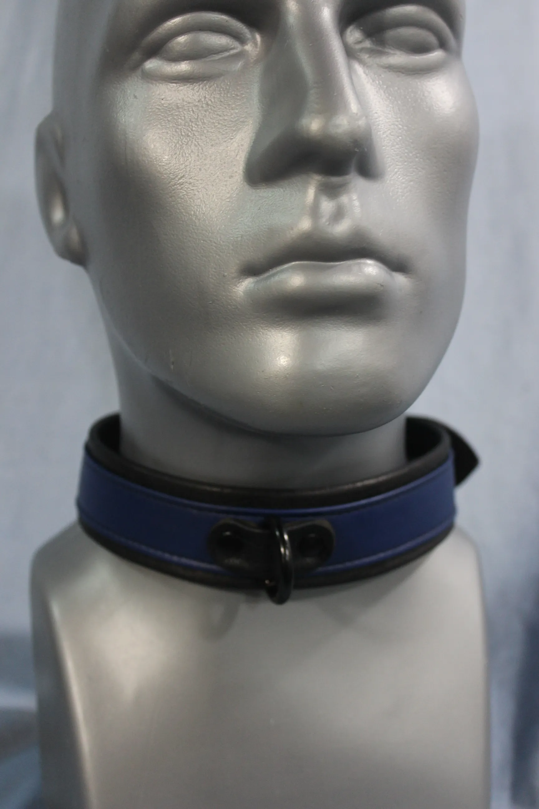 Locking Two Tone Collar - Top Stripe Construction