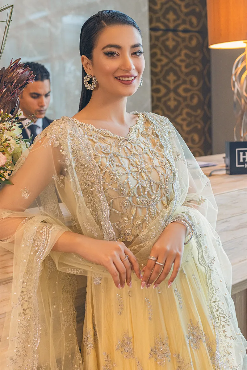 Mushq Monsoon Wedding Luxury Chiffon Collection – AURORA