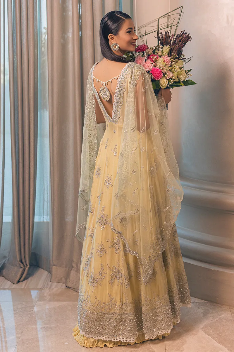 Mushq Monsoon Wedding Luxury Chiffon Collection – AURORA