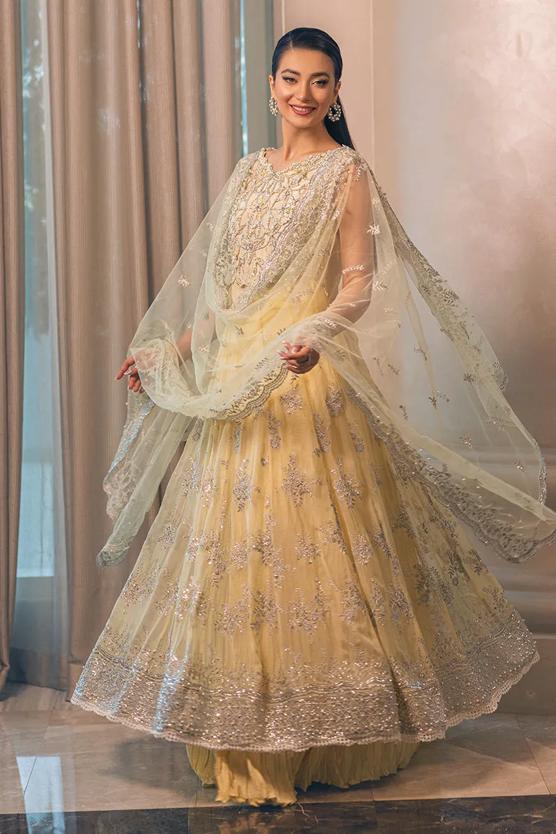 Mushq Monsoon Wedding Luxury Chiffon Collection – AURORA