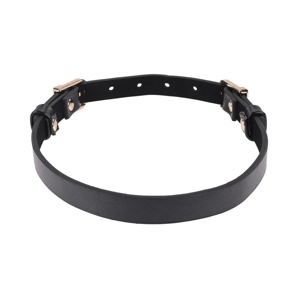 Sportsheets Sex & Mischief Double Buckle Day Collar